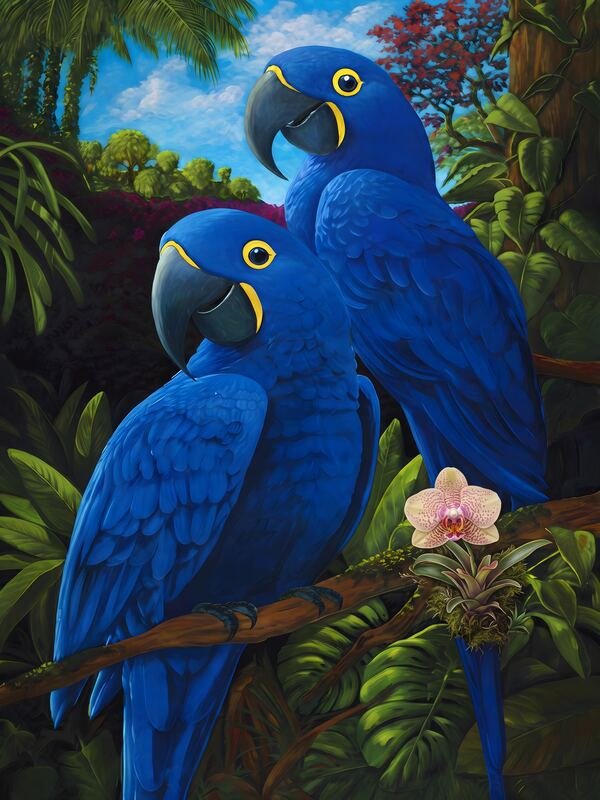 Blue Macaws Art – Ultra HD Wall Art